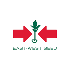 Logo 26